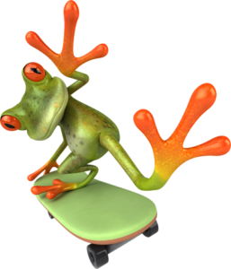 Image of frog on a skateboard